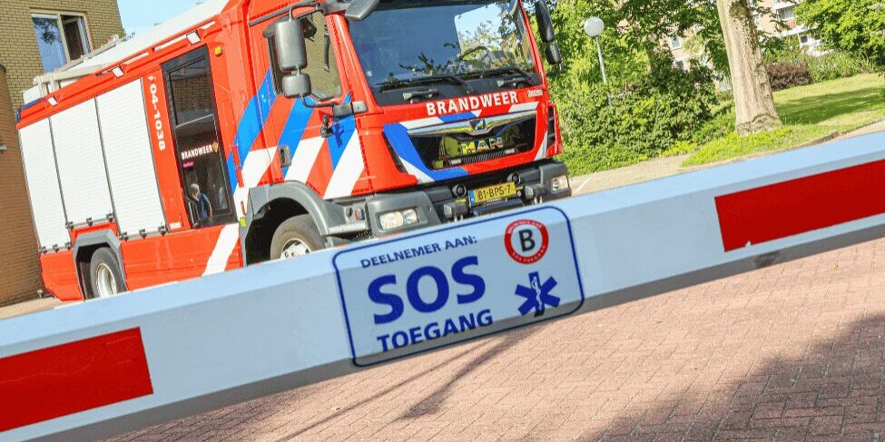 Foto's kleiner maken (1004 x 650 px) (1)